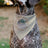 Dog Bandana - Star Wars The Mandalorian THE FORCE IS STRONG Grogu Pod Pose