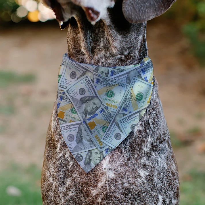 Dog Bandana - 100 Dollar Bill Print
