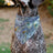Dog Bandana - 100 Dollar Bill Print
