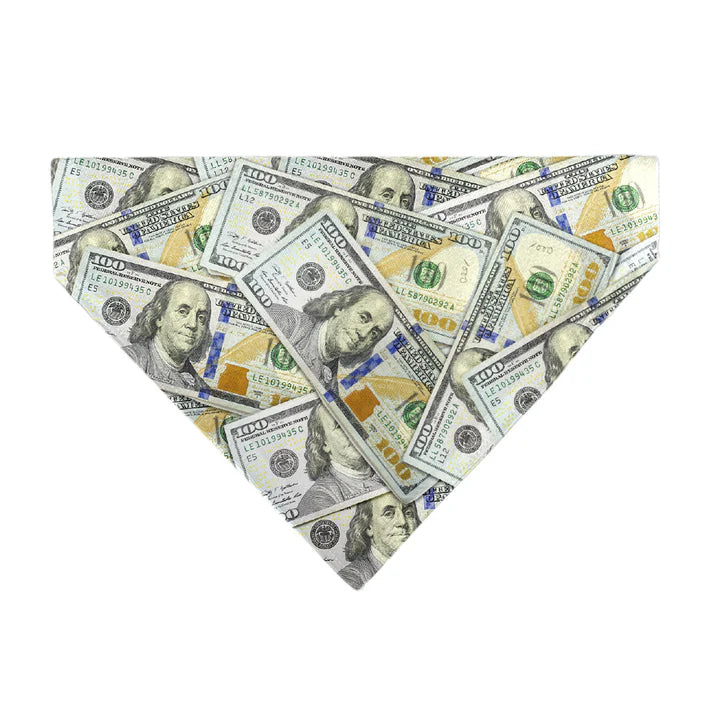 Dog Bandana - 100 Dollar Bill Print