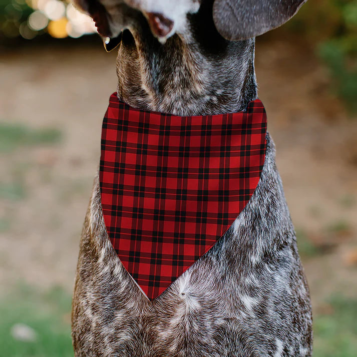 Pet Bandana - Holiday Pajama Plaid Red/Black