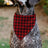 Pet Bandana - Holiday Pajama Plaid Red/Black