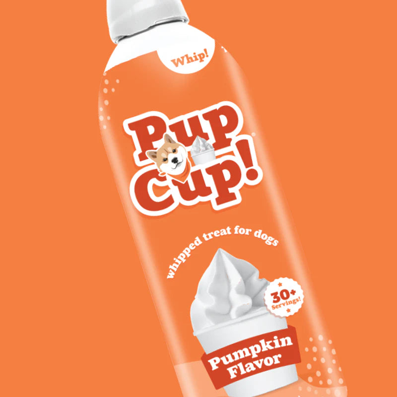 Pup Cup - Pumpkin