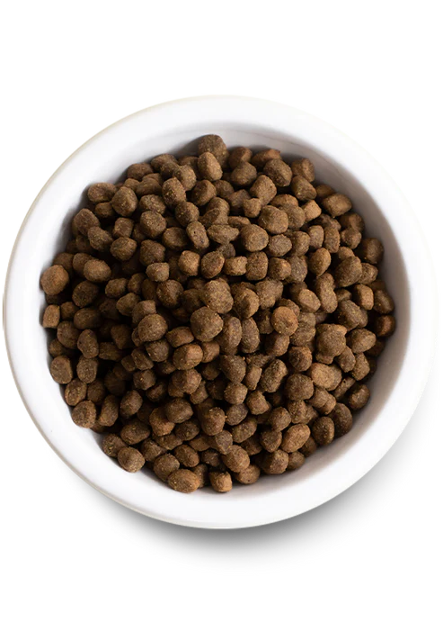 Open Farm Homestead Turkey & Chicken Grain-Free Dry Dog Food
