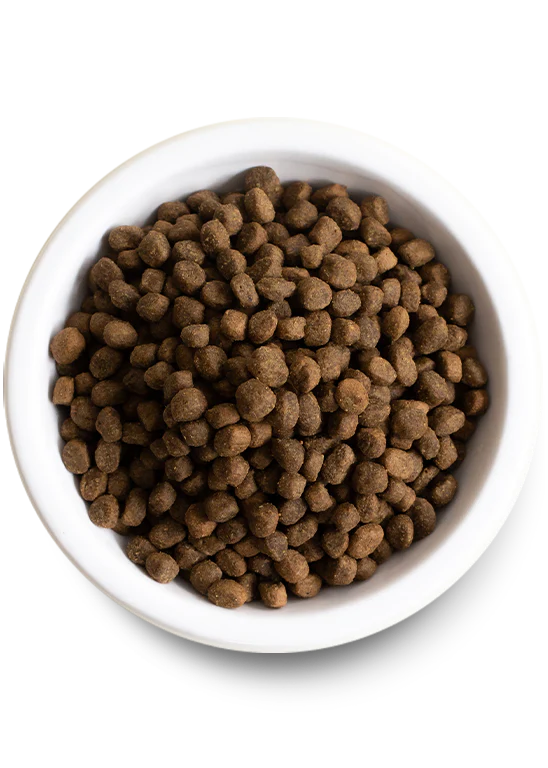 Open Farm Salmon & Ancient Grains Puppy Food