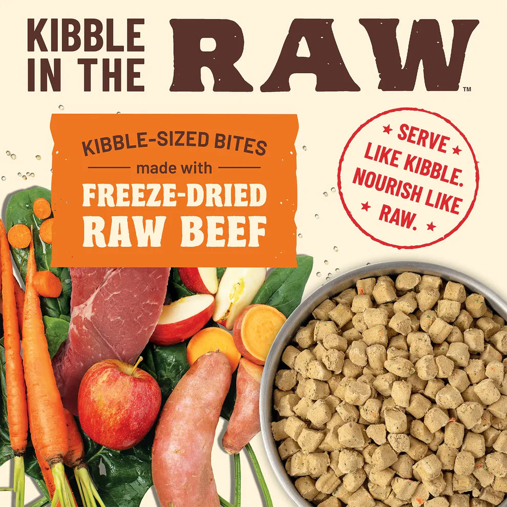 Kibble in the Raw Dog Food Beef Recipe