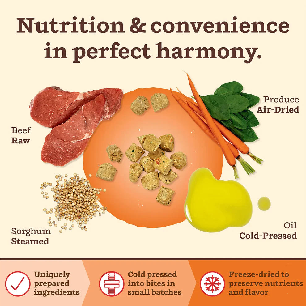 Kibble in the Raw Dog Food Beef Recipe