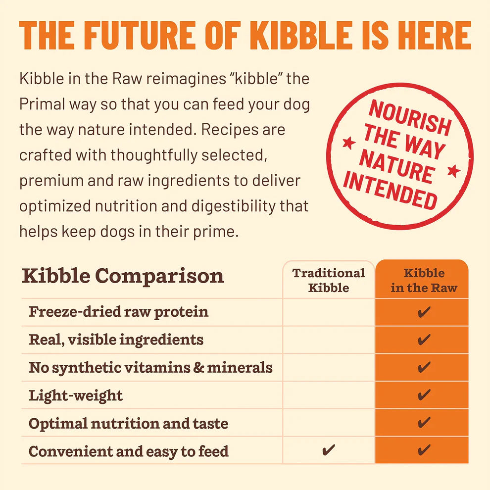 Kibble in the Raw Dog Food Beef Recipe
