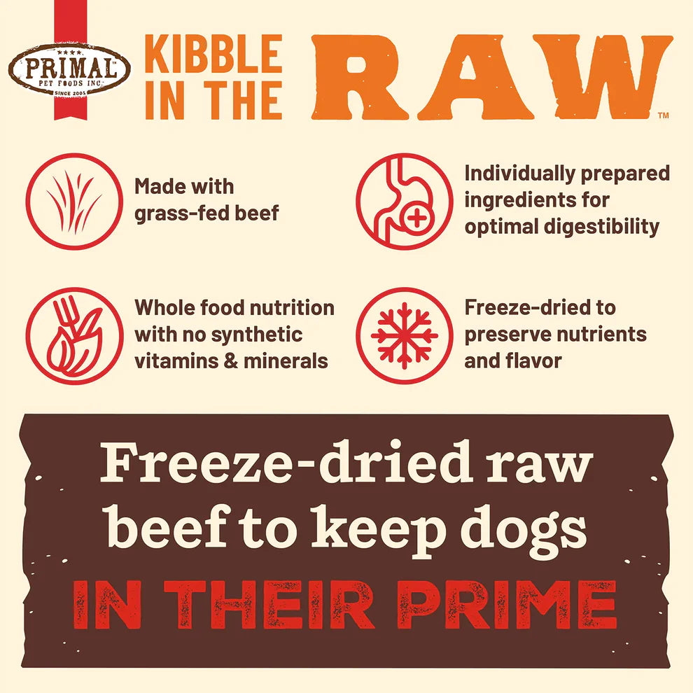 Kibble in the Raw Dog Food Beef Recipe