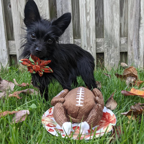 Turkey Bowl Plush Dog Toy