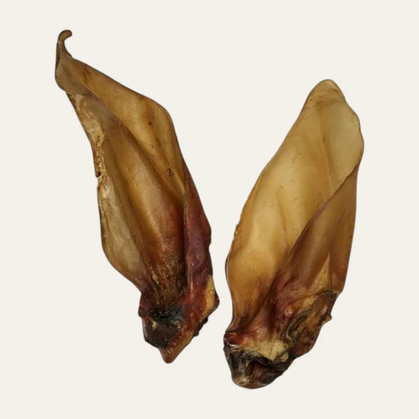 Hairless Water Buffalo Ear
