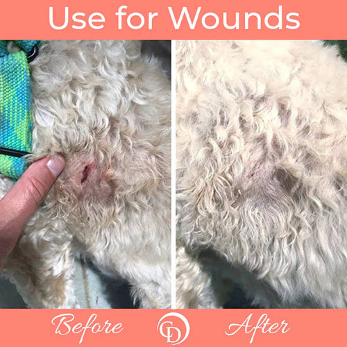 COAT DEFENSE® Canine & Cats - TROUBLE SPOT DRYING PASTE