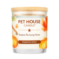 Pumpkin Spice Candle