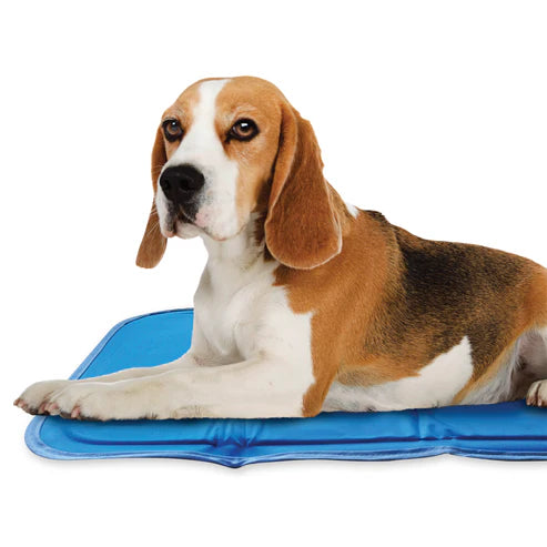 Cool Pet Pad - Blue
