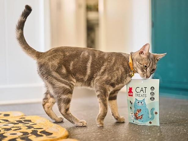 Plato Air Dried Tuna & Salmon Treats