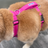 Chesapeake Bay Dog Harness - Pink