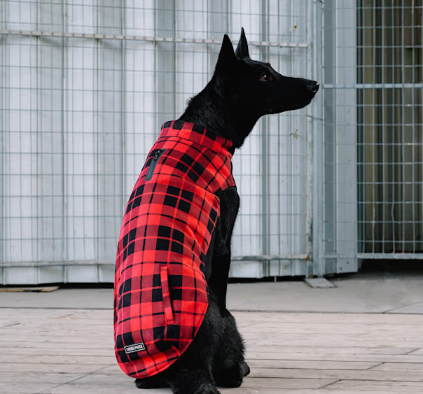Canada Pooch Thermal Tech Fleece Dog Sweater