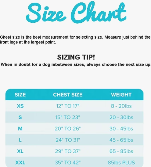 ZenPet 3-in-1 Compression Shirt