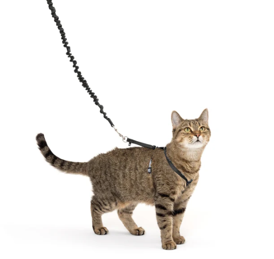 PetSafe Come with Me Kitty Nylon Harness & Bungee Leash for Cats - Large