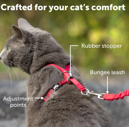 PetSafe Come with Me Kitty Nylon Harness & Bungee Leash for Cats - SMALL