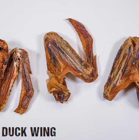 Dehydrated Duck Wing