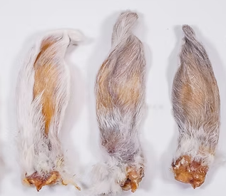 Dehydrated Rabbit Ears