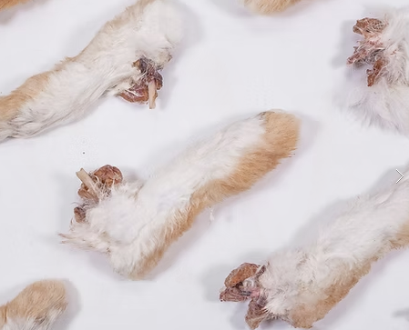 Dehydrated Rabbit Feet