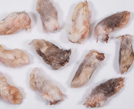 Dehydrated Rabbit Paws