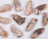 Dehydrated Rabbit Paws