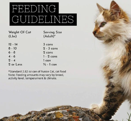 Fussie Cat Super Premium Chicken & Beef Formula in Pumpkin Soup Grain-Free Canned Cat Food, 2.8-oz