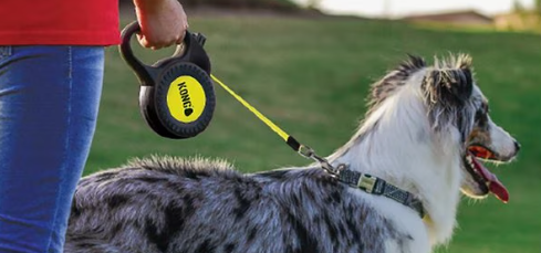 KONG Reflect Retractable Dog Leash, Medium, Black and Neon Yellow, 16-ft. Long