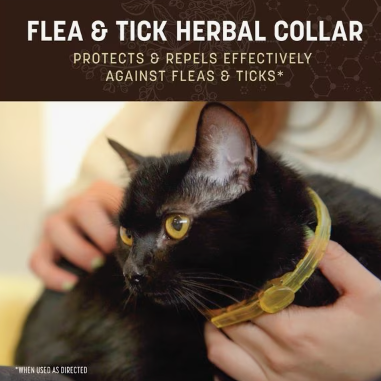 Earth Animal Apothecary Natural Flea & Tick Herbal Collar for Cats