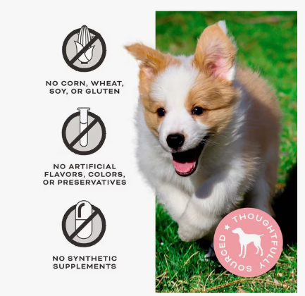 Primal Let's All Get A Lung Beef Flavored Crunchy Dog Treats