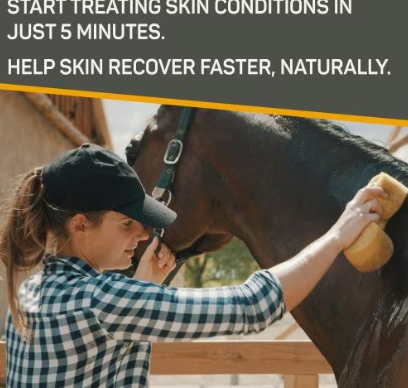 Silver Honey Rapid Skin Relief Medicated Dog & Cat Shampoo