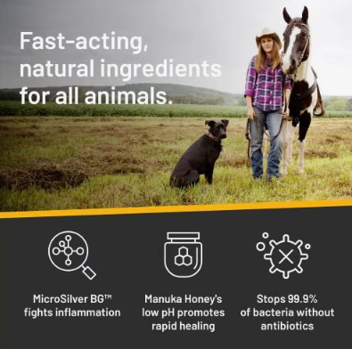Silver Honey Rapid Skin Relief Medicated Dog & Cat Shampoo
