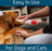 Wondercide Skin Tonic Itch + Allergy Relief with Essential Oils Dog & Cat Spray, 8-fl oz bottle