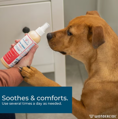 Wondercide Skin Tonic Itch + Allergy Relief with Essential Oils Dog & Cat Spray, 8-fl oz bottle