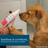 Wondercide Skin Tonic Itch + Allergy Relief with Essential Oils Dog & Cat Spray, 8-fl oz bottle