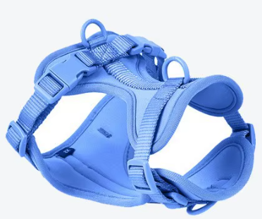 Blue Harness for Dogs