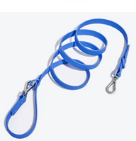 Blue Biothane Dog Leash