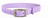 Purple Biothane Dog Collar