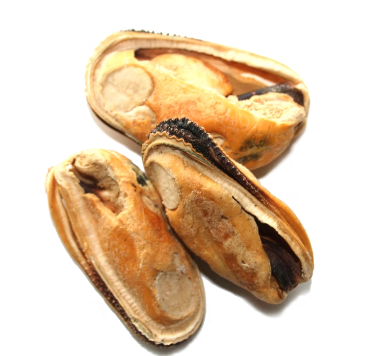 The New Zealand Natural Woof Green Lipped Mussels Freeze-Dried Dog Treats