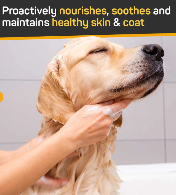 Silver Honey Skin & Coat Care Nourish & Soothe Shampoo with Odor Neutralizer