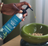 Fish Free Omega - 3