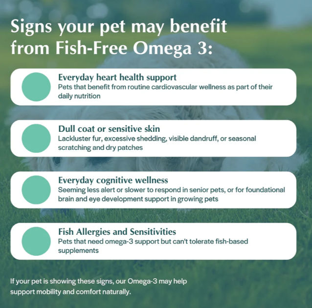 Fish Free Omega - 3