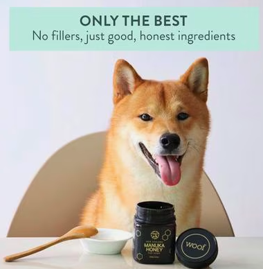 New Zealand Manuka Honey for Dogs
