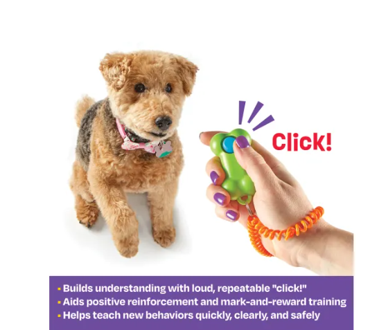 Training Clicker