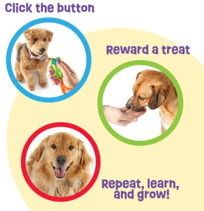 Training Clicker