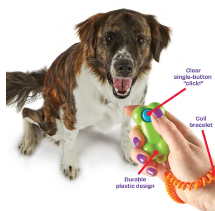 Training Clicker