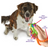 Training Clicker